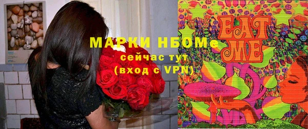 прущие грибы Абдулино