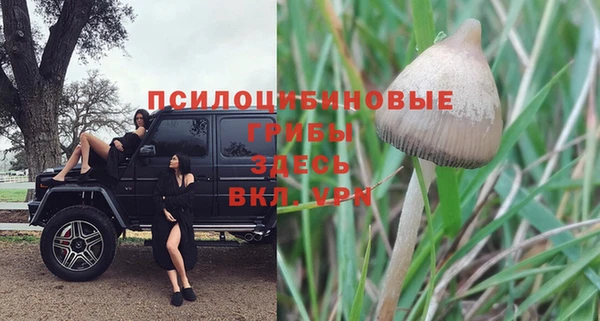 соль ск Абаза